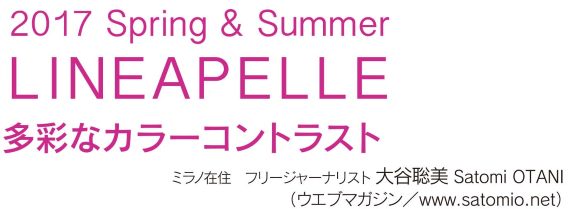 2017Spring&Summer　LINEAPELLE　リネアペッレ・レポート