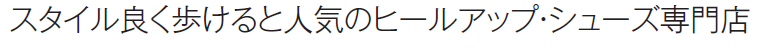 �X�^�C���悭������Ɛl�C�̃q�[���A�b�v�E�V���[�Y���X